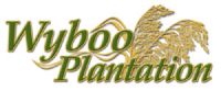 Wyboo Plantation