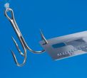 Spotting Phishing Scams