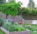 Gardening With A Purpose