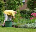 Guidance for Gardeners