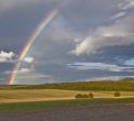 Rx for the Holidays: Cultivate Gratitude